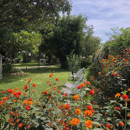 פרוסידה Villa Caterina B&B מראה חיצוני תמונה