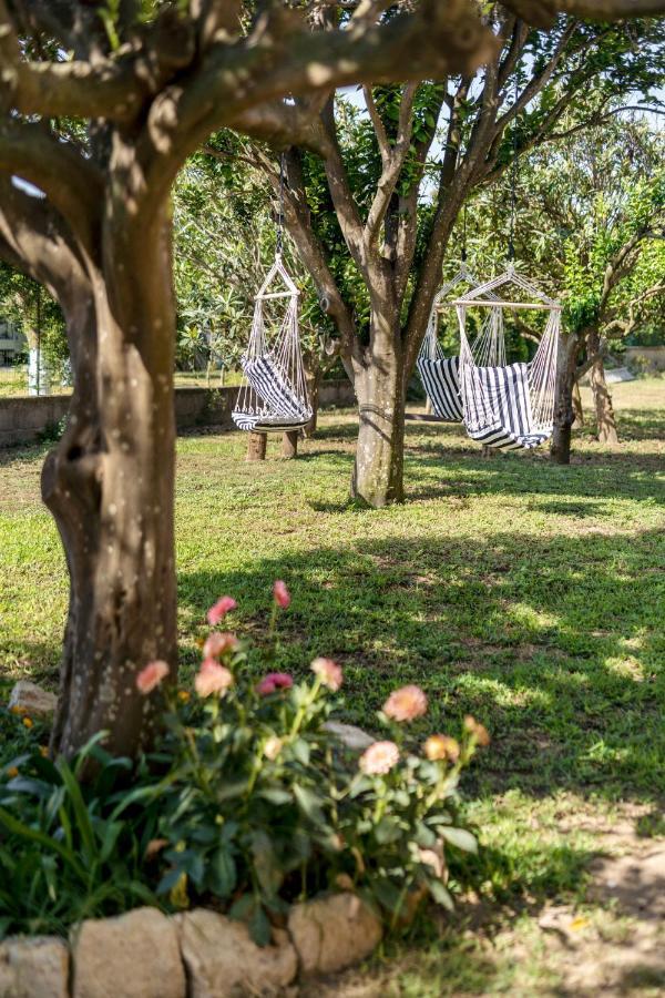 פרוסידה Villa Caterina B&B מראה חיצוני תמונה