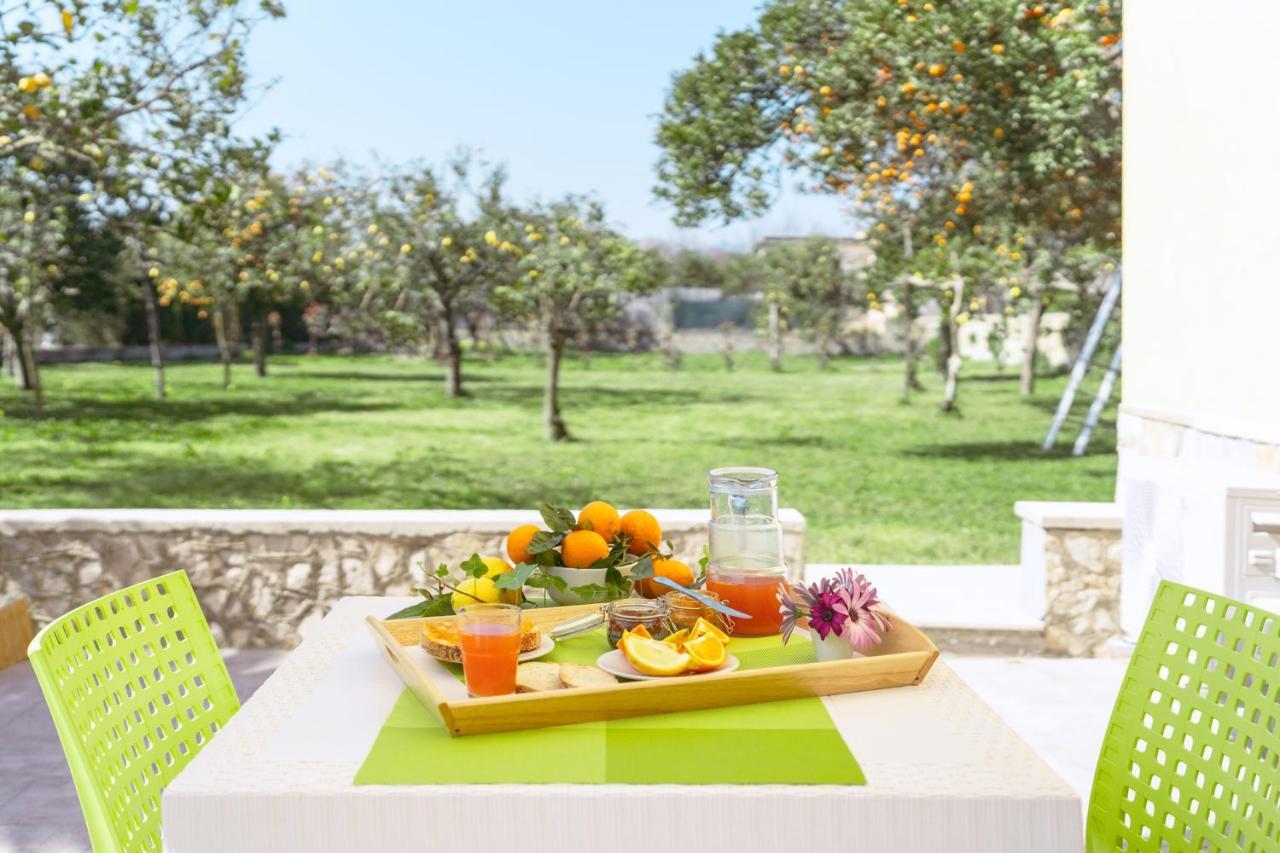 פרוסידה Villa Caterina B&B מראה חיצוני תמונה