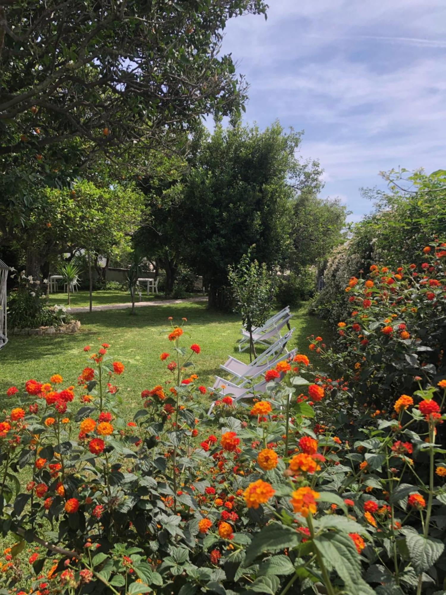 פרוסידה Villa Caterina B&B מראה חיצוני תמונה